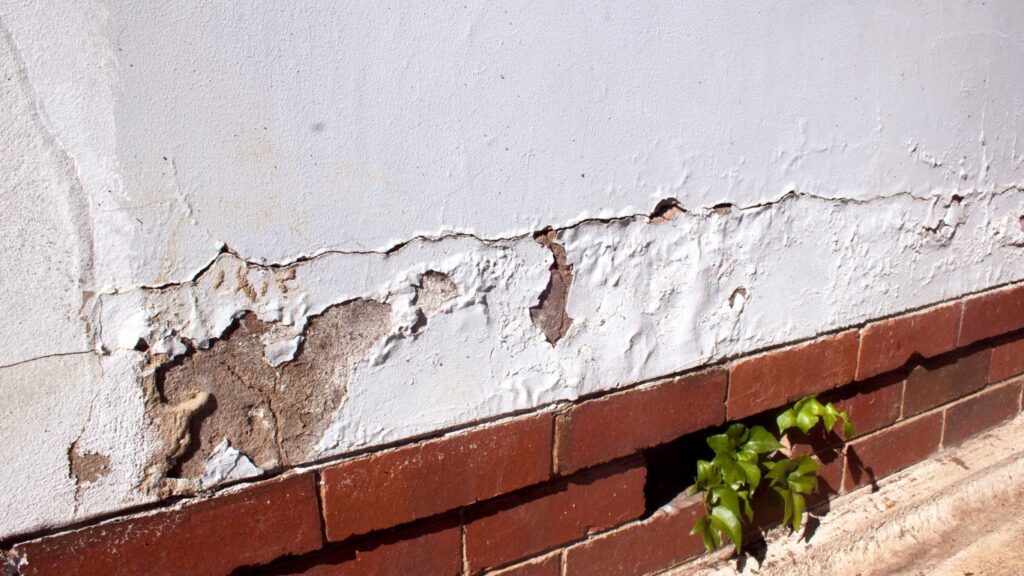 In this article, we'll explore the top 5 causes of rising dampness that every homeowner should be aware of to safeguard their investment.